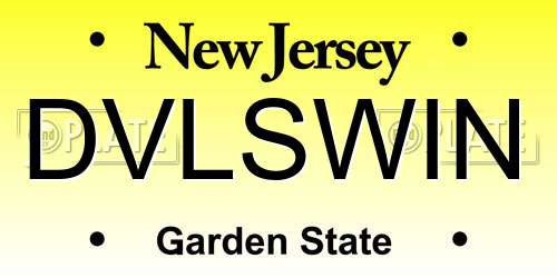 DVLSWIN New Jersey License Plate