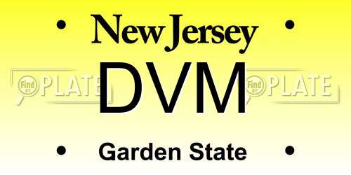 DVM New Jersey License Plate