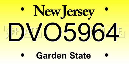 DVO5964 New Jersey License Plate