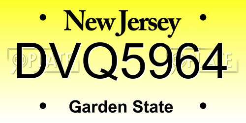 DVQ5964 New Jersey License Plate