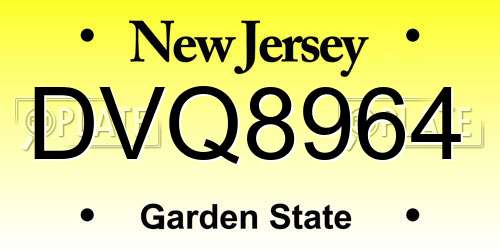 DVQ8964 New Jersey License Plate
