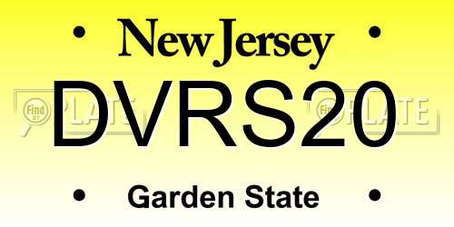 DVRS20 New Jersey License Plate