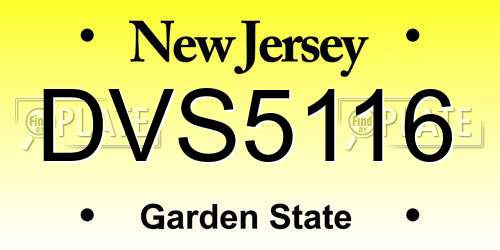 DVS5116 New Jersey License Plate