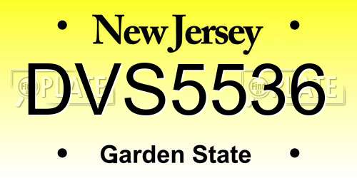 DVS5536 New Jersey License Plate