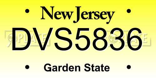 DVS5836 New Jersey License Plate