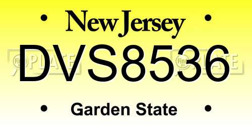 DVS8536 New Jersey License Plate