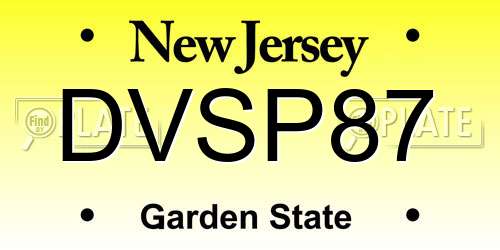 DVSP87 New Jersey License Plate