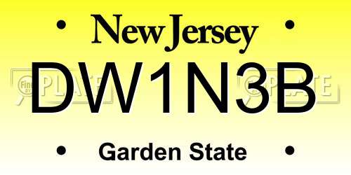 DW1N3B New Jersey License Plate