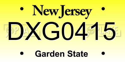 DXG0415 New Jersey License Plate