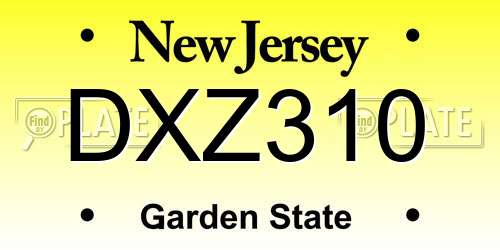 DXZ310 New Jersey License Plate