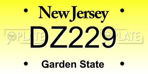 DZ229 New Jersey License Plate