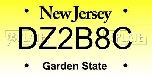 DZ2B8C New Jersey License Plate