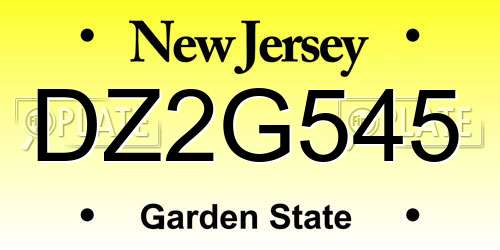 DZ2G545 New Jersey License Plate