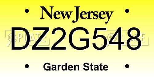 DZ2G548 New Jersey License Plate