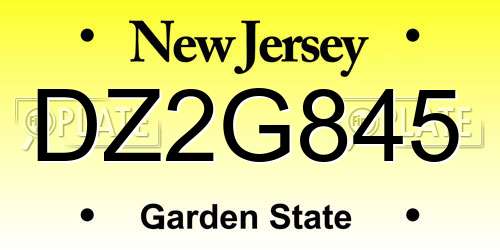 DZ2G845 New Jersey License Plate