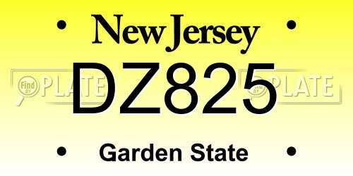 DZ825 New Jersey License Plate