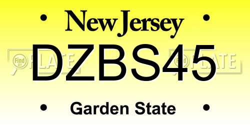 DZBS45 New Jersey License Plate