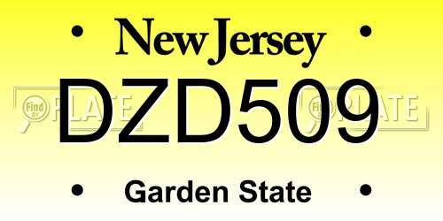DZD509 New Jersey License Plate