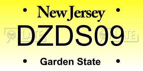 DZDS09 New Jersey License Plate