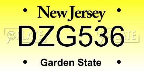 DZG536 New Jersey License Plate