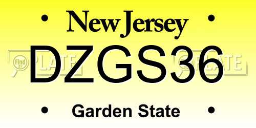 DZGS36 New Jersey License Plate