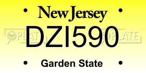 DZI590 New Jersey License Plate