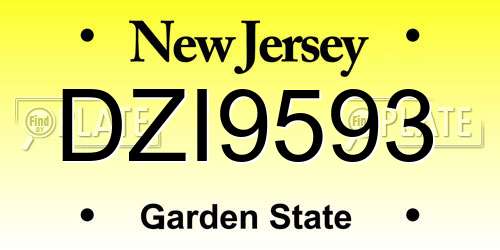 DZI9593 New Jersey License Plate