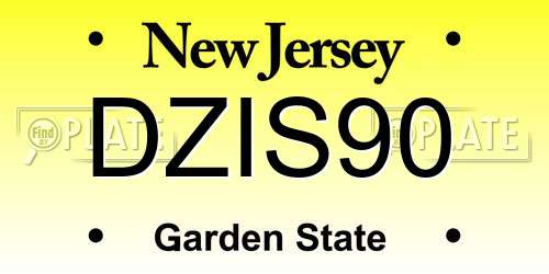 DZIS90 New Jersey License Plate