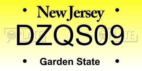 DZQS09 New Jersey License Plate