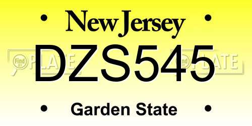 DZS545 New Jersey License Plate