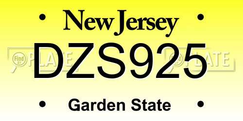 DZS925 New Jersey License Plate