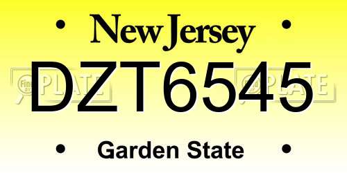 DZT6545 New Jersey License Plate