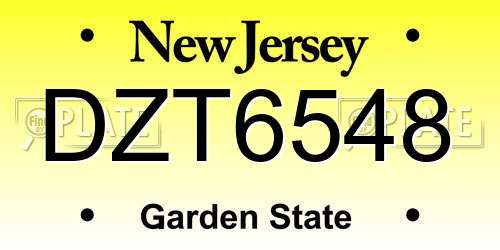 DZT6548 New Jersey License Plate