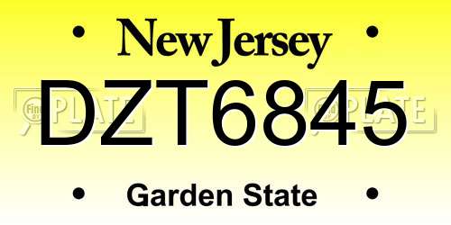 DZT6845 New Jersey License Plate
