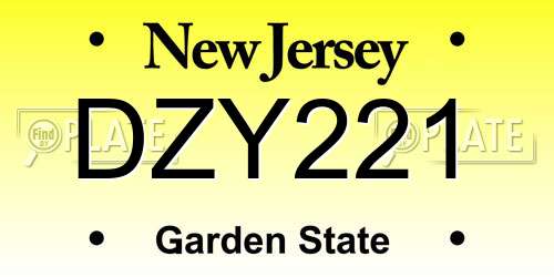 DZY221 New Jersey License Plate