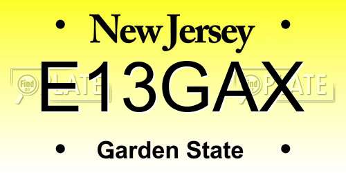 E13GAX New Jersey License Plate
