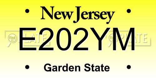 E202YM New Jersey License Plate