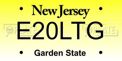 E20LTG New Jersey License Plate