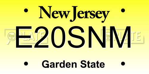 E20SNM New Jersey License Plate