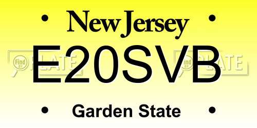 E20SVB New Jersey License Plate