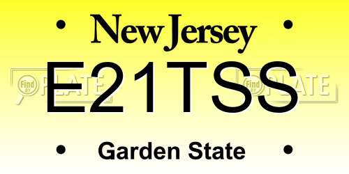 E21TSS New Jersey License Plate