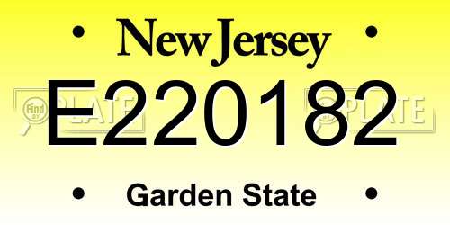 E220182 New Jersey License Plate