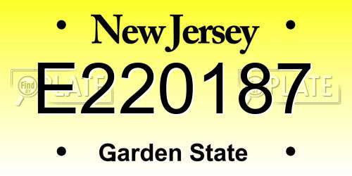 E220187 New Jersey License Plate