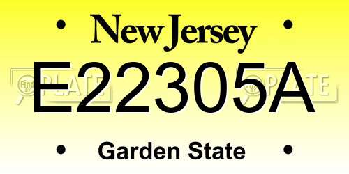 E22305A New Jersey License Plate