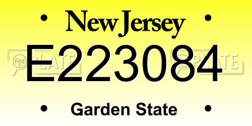 E223084 New Jersey License Plate