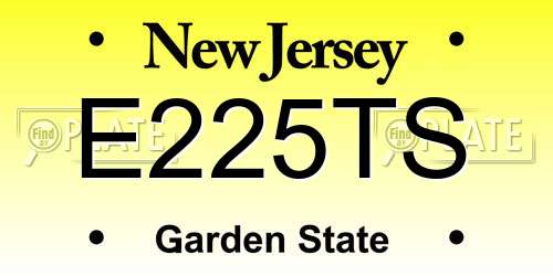 E225TS New Jersey License Plate