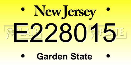 E228015 New Jersey License Plate