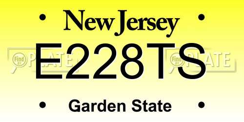 E228TS New Jersey License Plate