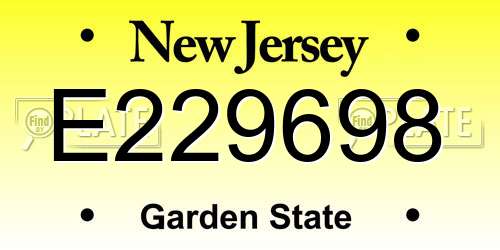 E229698 New Jersey License Plate