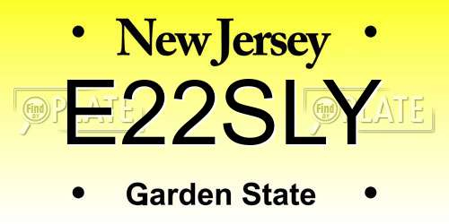 E22SLY New Jersey License Plate